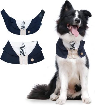 Dog tuxedo bandanas