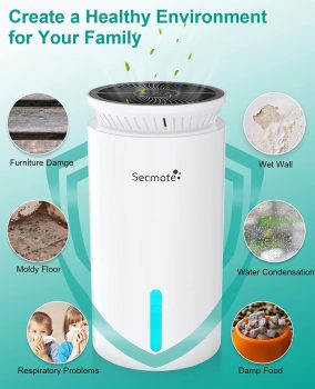Dehumidifiers for Home