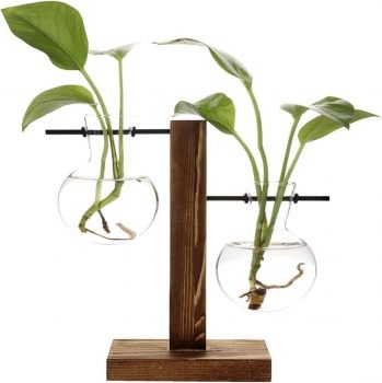 Hydroponic Plant Vases Vintage Flower Pot Transparent