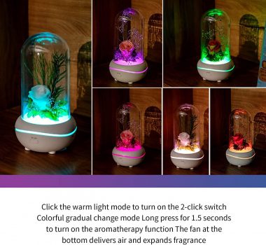 Leadmall Everlasting Rose Flower Aromatherapy Colorful Light LED Night Light