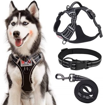Dog Harness for Large Dogs No Pull