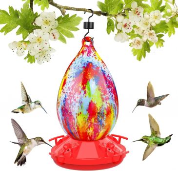 Rayhome Hummingbird Feeder for Outdoors