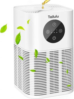 Air Purifiers for Bedroom
