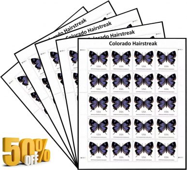 CO Butterfly invitations exclusive,5Sheet,100PCS,