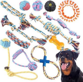 Dog Toys for Aggressive Chewers – 12 Pack