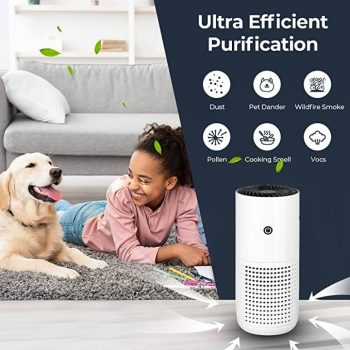 Air Purifiers for Home, Hair Smell Portable Air Purifier with Sleep Mode Speed Contro