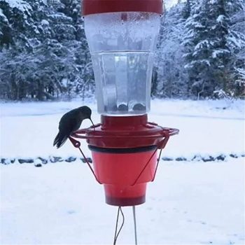 ZZKHGo Heated Hummingbird Feeders for Outdoors