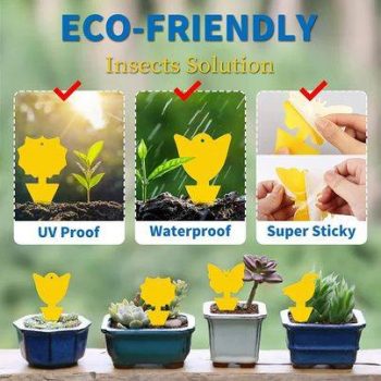 20pcs Yellow Sticky Fruit Fly Traps￼