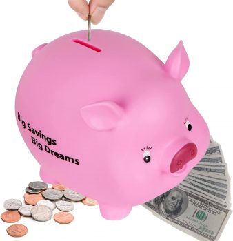 Pink Piggy Bank￼
