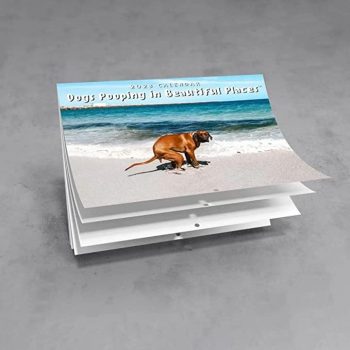 Creative Dog Poop Calendar