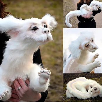 Plush Doll Toys Falkor from The Never ending Story