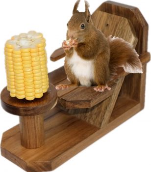  Squirrel Feeder Table and Chair￼