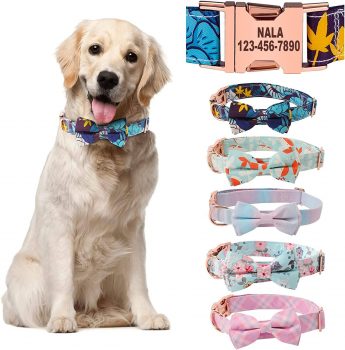 Personalized Dog Collars with Bowtie for Female Dogs￼