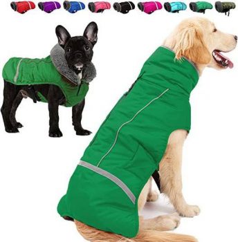 Dog Winter Coat￼