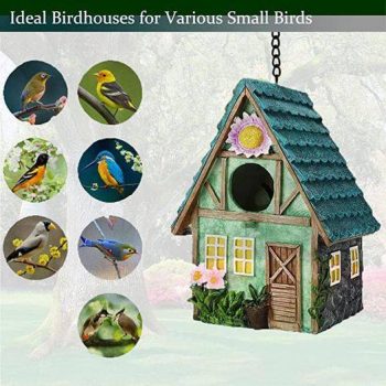 Patio Garden Decoration Residence