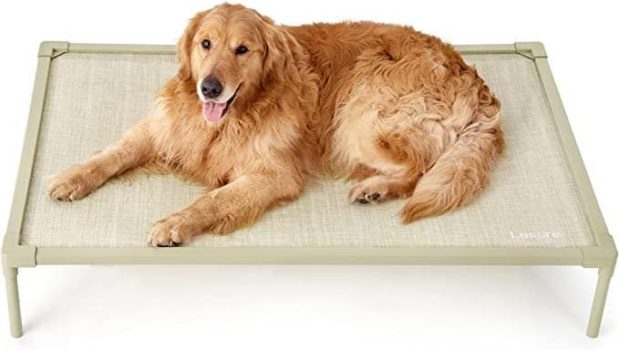  Elevated Chew Proof Dog Bed￼