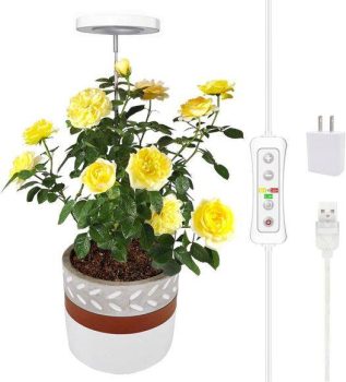 Plant Grow Light