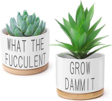 Succulent Pots–2 Pack￼