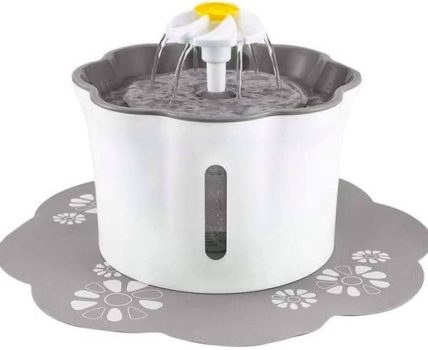 Water Dispenser￼