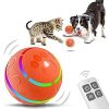 Interactive Dog Ball Toy with Remote Control