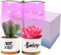 Succulent Pots with Grow Lights – WEDCOL 3.54” White Ceramic Small Flower Pots with Bamboo Tray