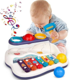 2 in 1 Hammer Pounding & Musical Xylophone Toys