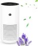 Air Purifiers for Home, H13 HEPA Air Purifiers Air Cleaner For Smoke Pollen Dander Hair Smell Portable Air Purifier with Sleep Mode Speed