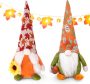 Fall Gnomes Plush Decorations 2 Pack