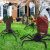 6 Pack Halloween Spiders Decorations