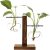 Hydroponic Plant Vases Vintage Flower Pot Transparent
