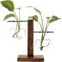 Hydroponic Plant Vases Vintage Flower Pot Transparent