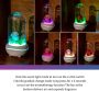 Leadmall Everlasting Rose Flower Aromatherapy Colorful Light LED Night Light