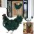 2022 Xmas Rooster Chicken Wreath