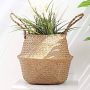 Casaphoria Woven Seagrass Belly Basket