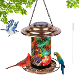 Bird Feeders for Outdoors Hanging