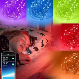 Crazypig 2022 New Christmas Light