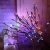 ZZKHGo LED Willow Branch Lamp Floral Lights
