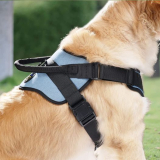 Dog Harness with Handle