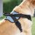 Dog Harness with Handle