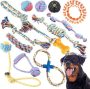 Dog Toys for Aggressive Chewers – 12 Pack