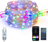 LED Christmas Fairy String Lights