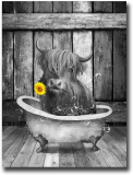 Fwifjods Highland Cow Wall Art Black and White