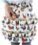 Crazypig Egg Collecting Apron with 12 Pockets