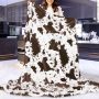 Cute Cow Print Blanket Soft Warm Plush Throw Blanket