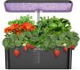 12 Pods Hydroponics Growing System, Indoor Garden with LED Grow Light￼
