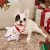  Lesure Christmas Dog Toys with Squeakers and Tough Rope￼