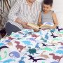 Dinosaur Blankets make great gifts for kids!
