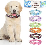  Personalized Dog Collar with Bow tie￼