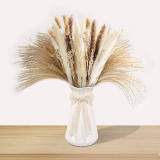  200 Pcs Natural Gried Pampas Grass Decor￼