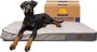 Large Orthopedic Dog Bed￼